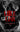 Little Liar cover image