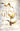 Glow (Plated Prisoner) cover image